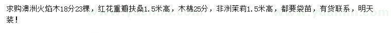 求購澳洲火焰木、紅花重瓣扶桑、木棉等