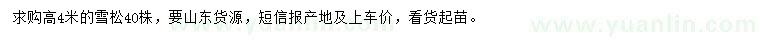 求購高4米雪松