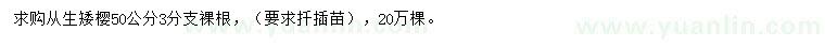 求購50公分從生矮櫻