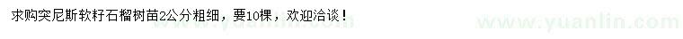 求購2公分突尼斯軟籽石榴樹(shù)苗