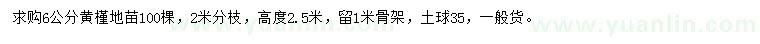 求購6公分黃槿