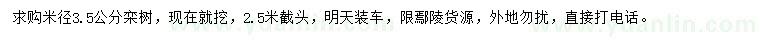 求購(gòu)米徑3.5公分欒樹(shù)