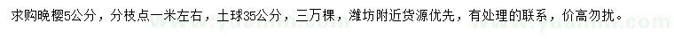 求購5公分晚櫻