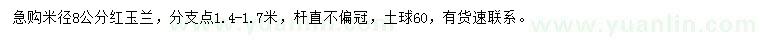 求購米徑8公分紅玉蘭
