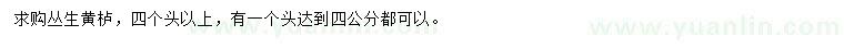 求購四個(gè)頭以上叢生黃櫨