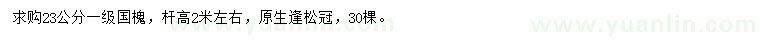 求購23公分國槐