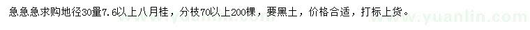 求購地徑30量7.6以上八月桂