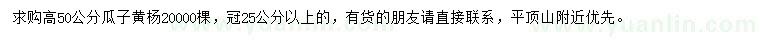 求購高50公分瓜子黃楊