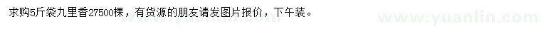 求購九里香