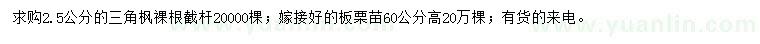 求購(gòu)2.5公分三角楓、高60公分嫁接好板栗苗