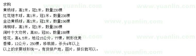 求購(gòu)黃楊球、紅花繼木球、金邊黃楊球等