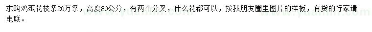 求購高度80公分雞蛋花枝條