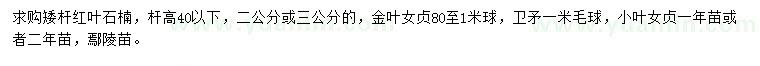 求購矮桿紅葉石楠、金葉女貞球、衛(wèi)矛毛球等