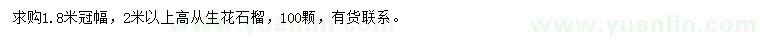 求購高2米以上從生花石榴