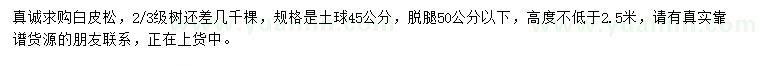 求購高度不低于2.5米白皮松