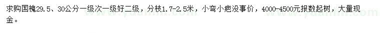 求購29.5、30公分國槐