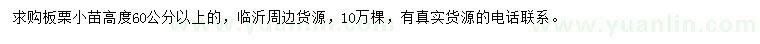 求購高度60公分以上板栗小苗