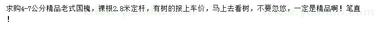 求購4-7公分老式國槐