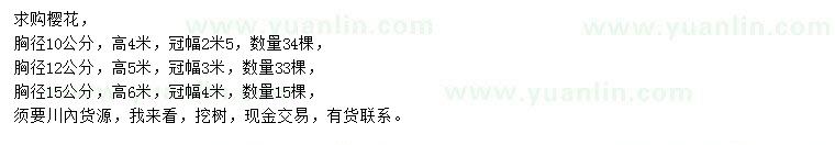 求購胸徑10、12、15公分櫻花