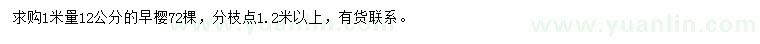 求購(gòu)1米量12公分早櫻