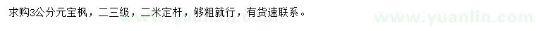 求購3公分元寶楓