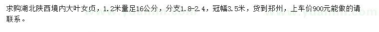 求購1.2米量足16公分大葉女貞