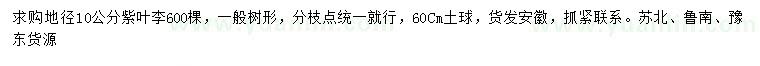 求購地徑10公分紫葉李