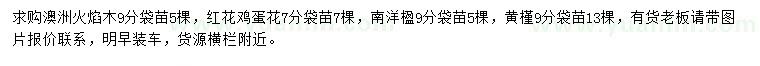 求購澳洲火焰木、紅花雞蛋花、南洋楹等