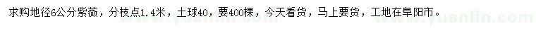 求購(gòu)地徑6公分紫薇