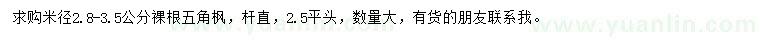 求購米徑2.8-3.5公分五角楓