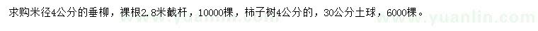 求購米徑4公分垂柳、柿子樹