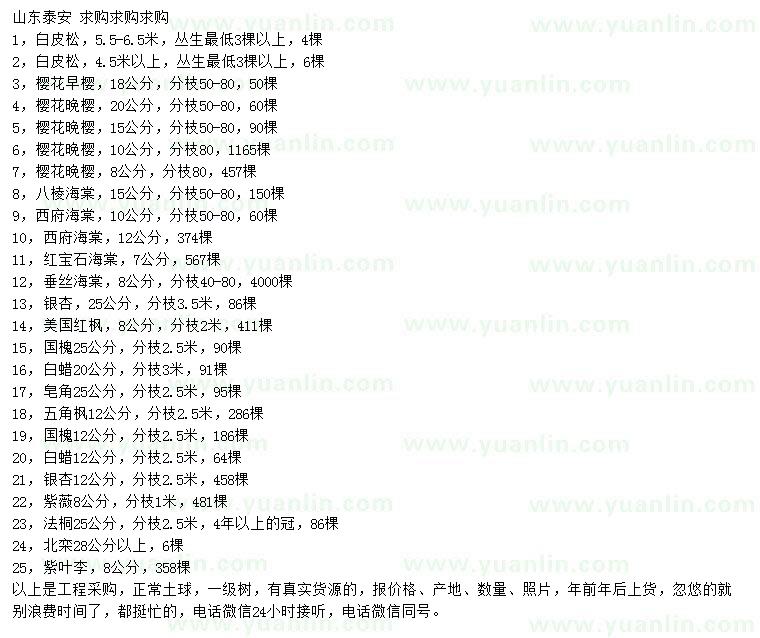 求購白皮松、早櫻、晚櫻等