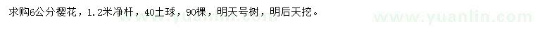 求購6公分櫻花