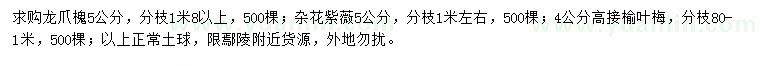 求購龍爪槐、雜花紫薇、高接榆葉梅