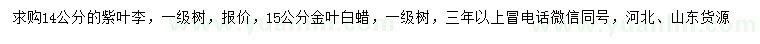 求購14公分紫葉李、15公分金葉白蠟