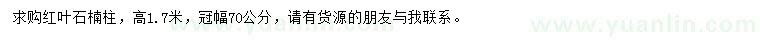求購(gòu)高1.7米紅葉石楠柱