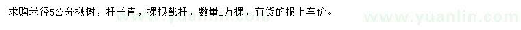 求購米徑5公分楸樹
