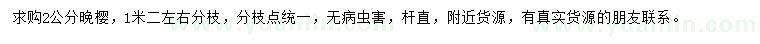 求購2公分晚櫻