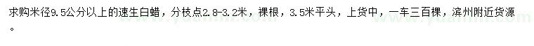 求購米徑9.5公分以上速生白蠟