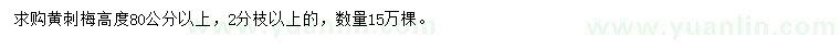 求購(gòu)高度80公分以上黃刺梅