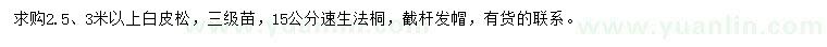 求購2.5、3米以上白皮松、15公分速生法桐