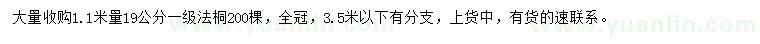 求購(gòu)1.1米量19公分法桐