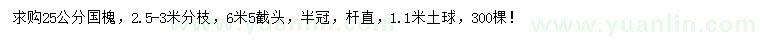 求購25公分國槐