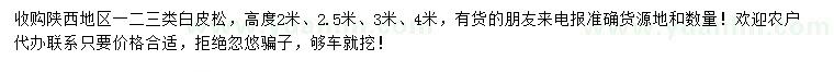 求購高度2、2.5、3、4米白皮松
