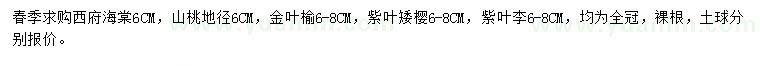 求購西府海棠、山桃、金葉榆等