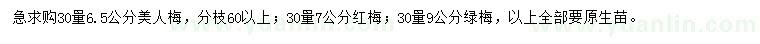 求購美人梅、紅梅、綠梅