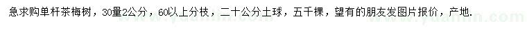 求購30量2公分茶梅
