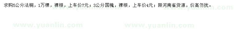 求購5公分法桐、 3公分國槐