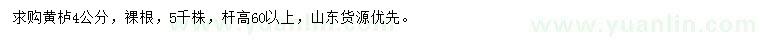 求購4公分黃櫨