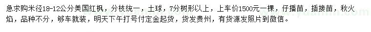求購米徑18-12公分美國紅楓